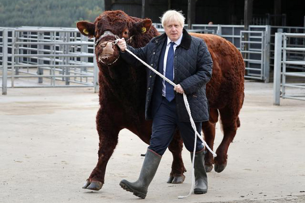 Boris Bull